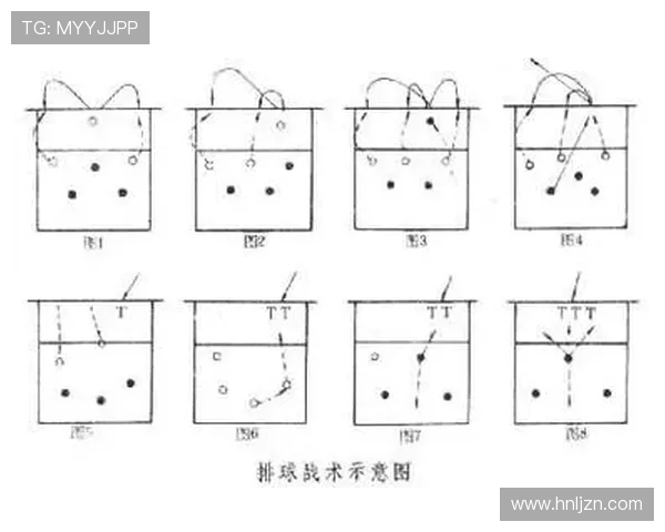 深圳排球队在锦标赛中的战术运用与表现分析及未来发展展望