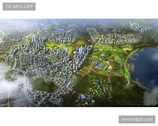 深圳羽毛球队运营模式创新探索助力体育发展新篇章